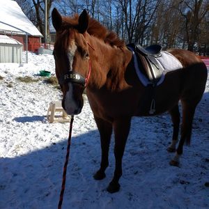 Meet your Posher, Grace